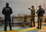 Funkcjonariusz KAS i funkcjonariusze SG z psem stojący przy paczkach z haszyszem 