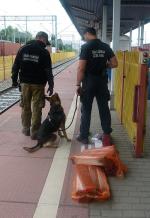 funkcjonariusz Straży Granicznej i Służby Celno-Skarbowej stoją na peronie; obok pies służbowy; na ziemi leżą worki ze znalezionymi papierosami