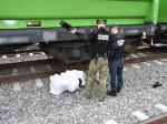 Zdjęcie poglądowe - funkcjonariusze Służby Celno-Skarbowej i Straży Granicznej stojący obok wagonu kolejowego. Obok leżą ujawnione papierosy.