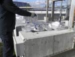 funkcjonariusz Służby Celno-Skarbowej zlewa do oczyszczalni alkohol z plastikowych butelek