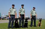 Trzech funkcjonariuszy z psami służbowymi stoją na płycie lotniska,