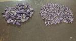 Obrobione drobne i duże kamienie o barwie biało fioletowej