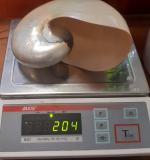 na wadze leży muszla łodzika, waga wskazuje 204 gramy