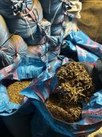 Worek wypełniony suszem tytoniowym. 